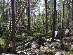 GardejaurlidenP6050745.JPG