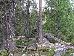 LuobbelnP6140444.JPG