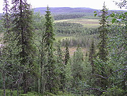 RautiorovaP8010057.JPG