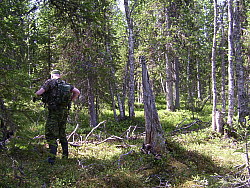 Kaskats_Jokkmokk_2008-06-06_Elina_Hinkkanen_(2).JPG