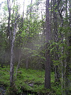 Katamyren_Jokkmokk_2008-06-06_Daniel_Rutschman_(14).JPG